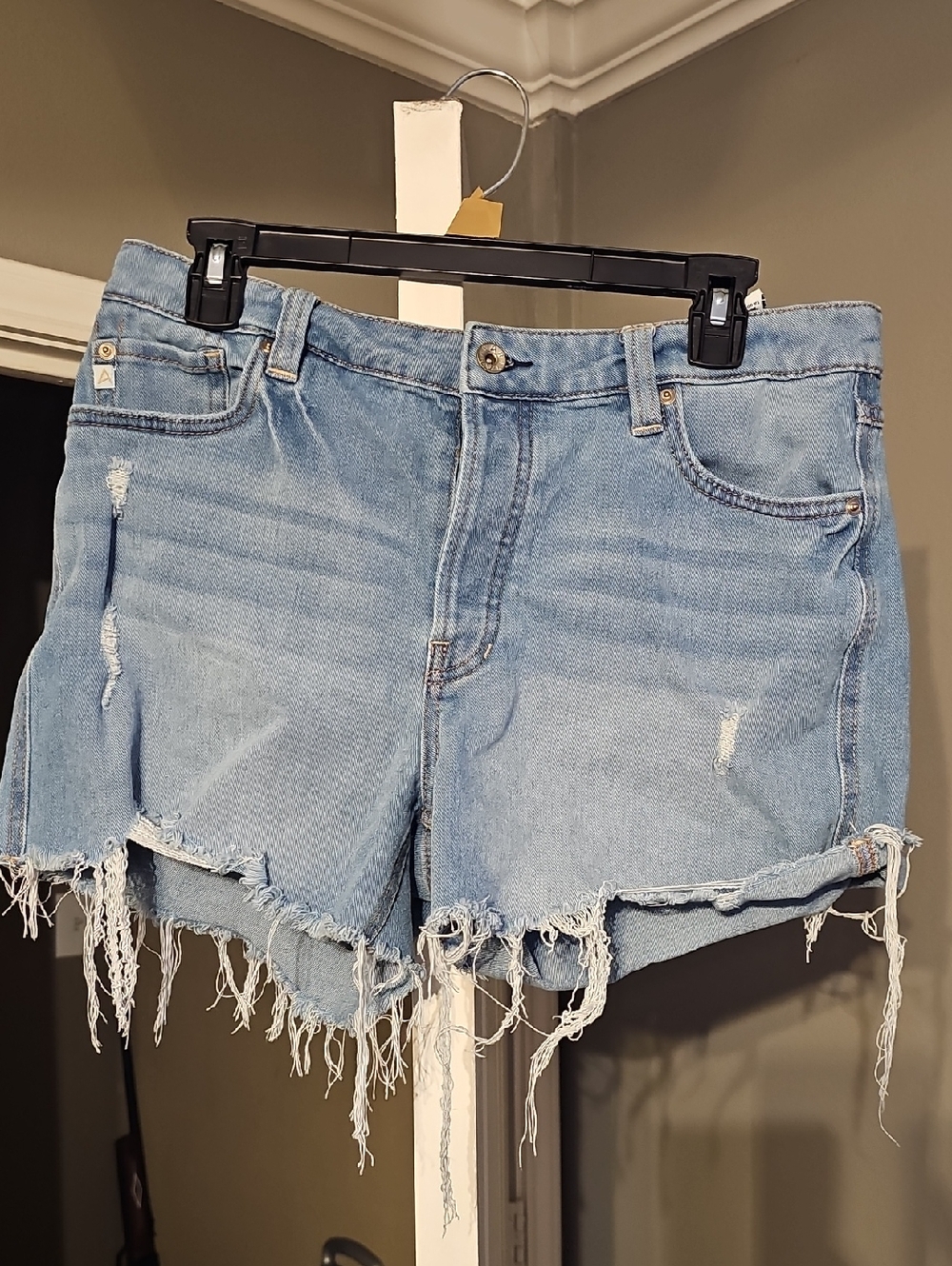Ariya Light Wash Frayed Denim Cutoff Shorts